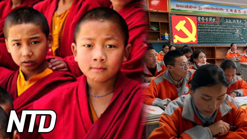 Rapport: Koloniala internatskolesystem i Tibet | NTD NYHETER