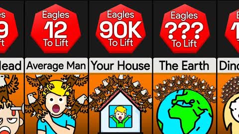 Comparison: How Many Eagles To Lift ____?