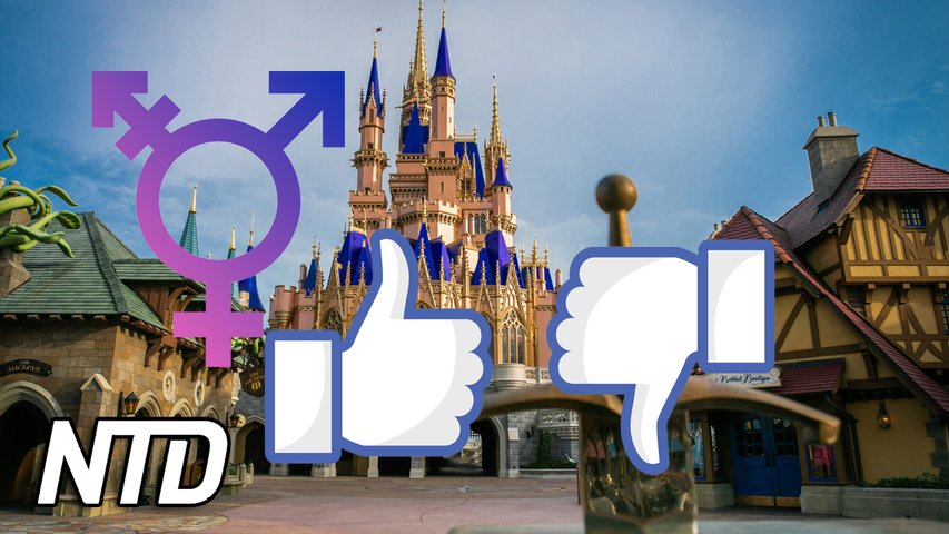 Disneys transkaraktär skapar kontroverser | NTD NYHETER