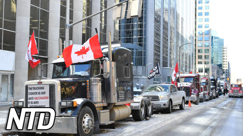 Kanadensiska lastbilschaufförers GoFundMe-kampanj stoppas | NTD NYHETER