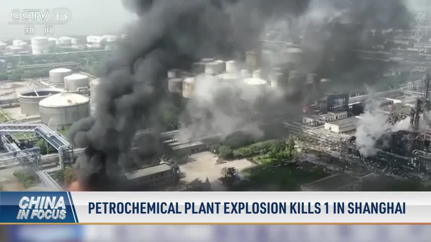 Petrochemical Plant Explosion Kills 1 in Shanghai