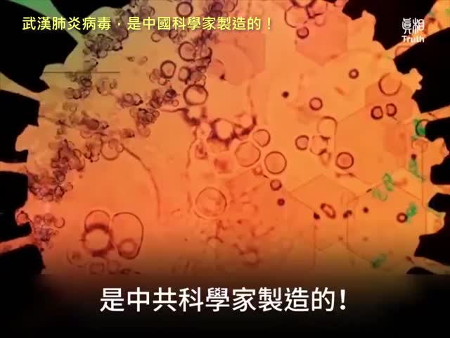 20210604 武漢肺炎病毒，是中國科學家製造的！