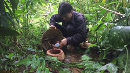 Find for food , Tropical forest underground stream - survive alone | episode 27