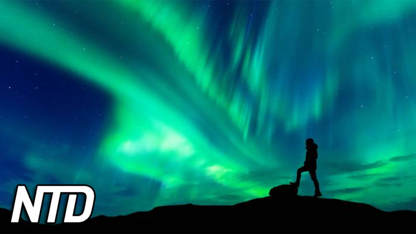 Norrskensjägare spårar de bästa ljusfenomenen | NTD NYHETER