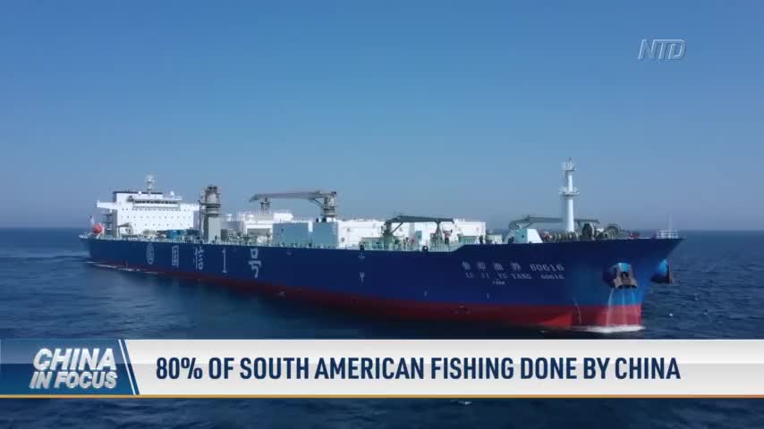 80 Percent of South American Fishing Done by China