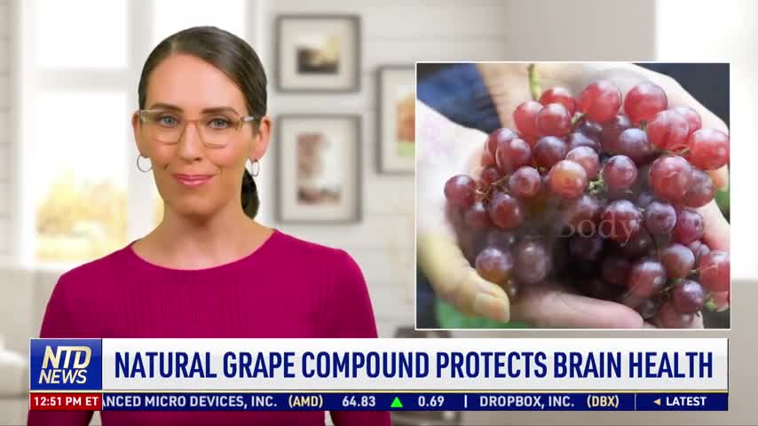 Natural Grape Compound Protects Brain Health