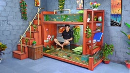 Come up with a crazy idea! A masterpiece ! Make a wonderful fish tank bunk bed