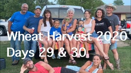 Wheat Harvest 2020 - Days 29 & 30