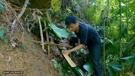 Carrying water to shelters with bamboo pipes - Survival instinct | Ep. 166