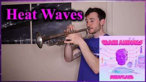Glass Animals - Heat Waves (Trumpet Cover)