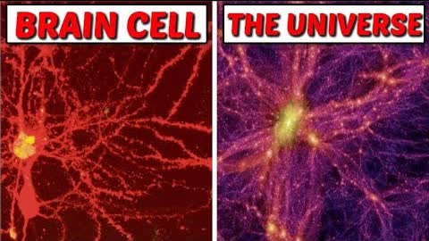 Multidimensional Universe Discovered In our Brains: As Above so Below