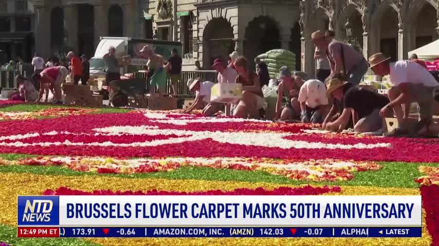 Brussels Flower Carpet Marks 50th Anniversary
