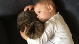 Baby Assures Kitten 