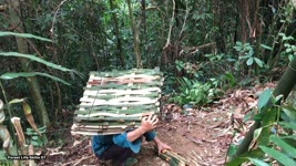 Strange traps, survival instinct - Survive in tropical rain forest - episode 96
