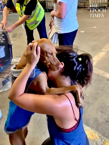Dog Hugs and Doesn't let go of Owner on Reuniting With Her After Long Time