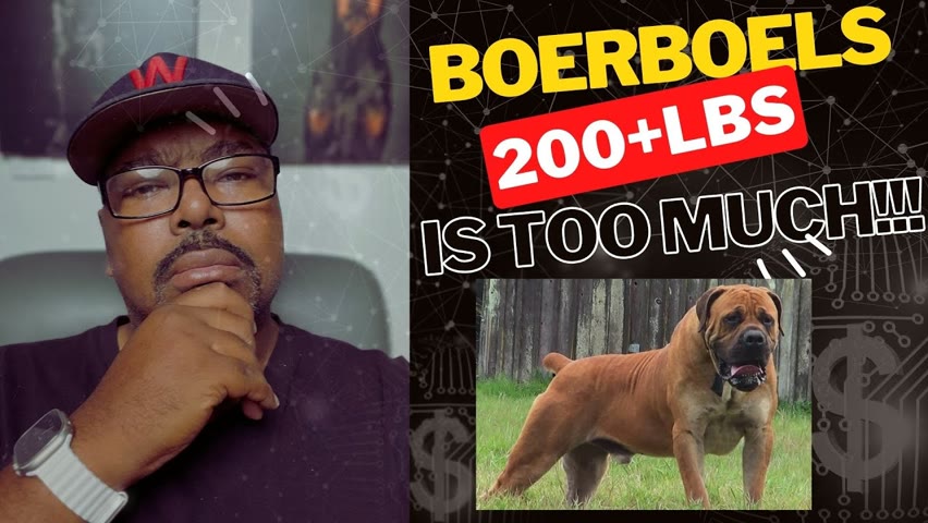 DOGUMENTARY TV REACTION: QUESTIONING YOUR LOVE OF 200LB BOERBOELS