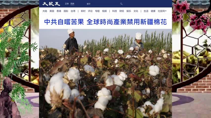 中共自嚐苦果 全球時尚產業禁用新疆棉花 2021.04.06