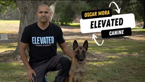 OSCAR MORA'S WELL TRAINED CANINES