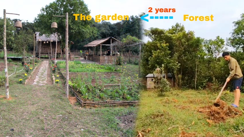 The 730-day process of building a garden into a fairyland, how things change after 2 years