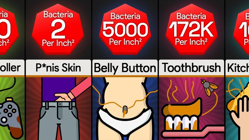 Comparison: Dirtiest Things You Touch Everyday