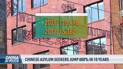 Chinese Asylum Seekers Jump 800 Percent in 10 Years