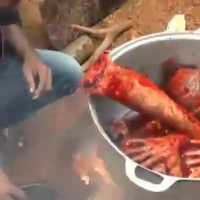 CANNIBAL HUMAN MEAT