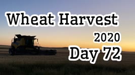 Wheat Harvest 2020 - Day 72