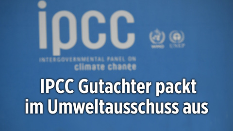 Offizieller IPCC-Gutachter packt im Umweltausschus aus