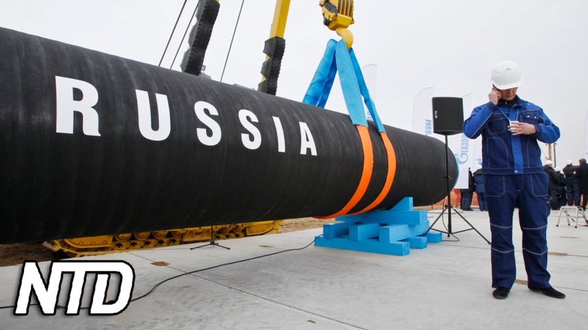 Förklaring: Vad är Nord Stream 2? | NTD NYHETER