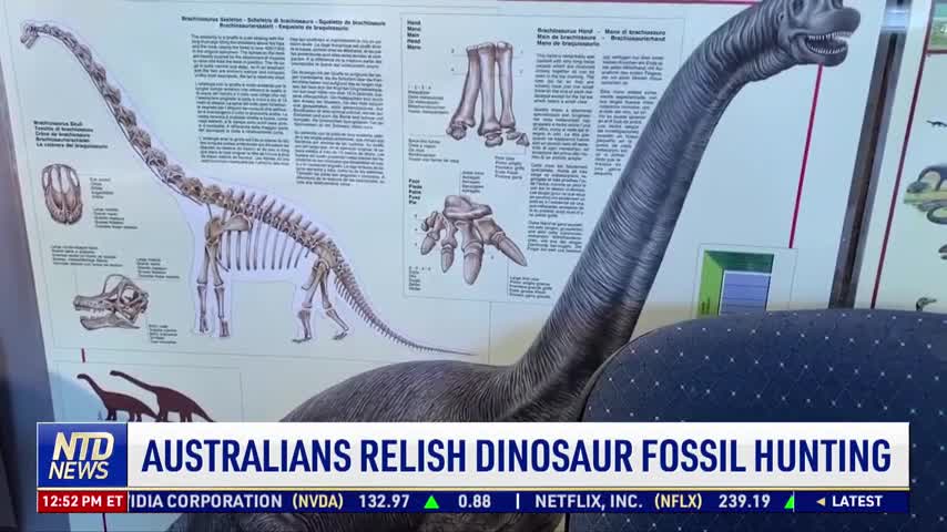 Australians Relish Dinosaur Fossil Hunting