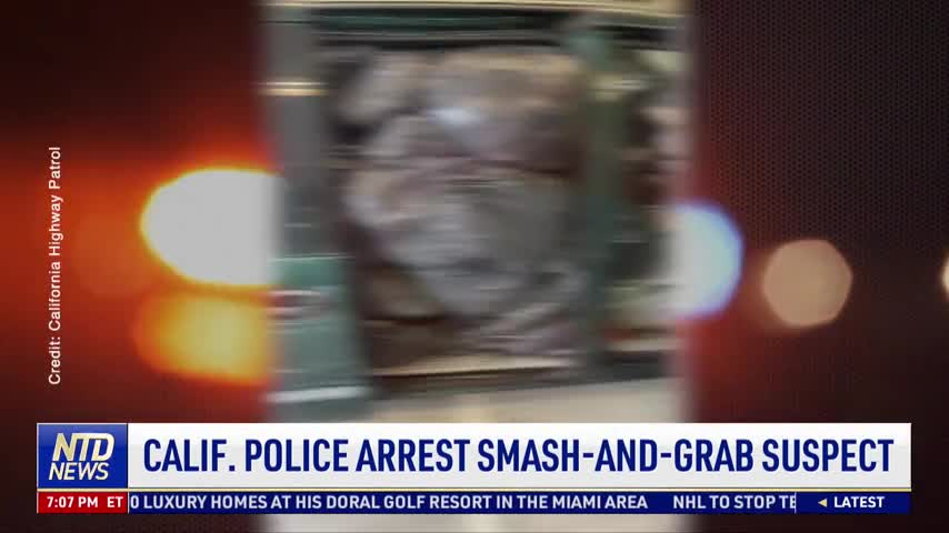 California Police Arrest Smash-and-Grab Suspect