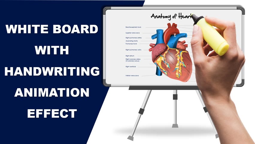 White Board Animation with a Handwriting effect in PowerPoint