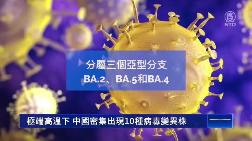 (SN)極端高溫下 中國密集出現10種病毒變異株