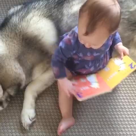 Baby Finds Friend in Book
