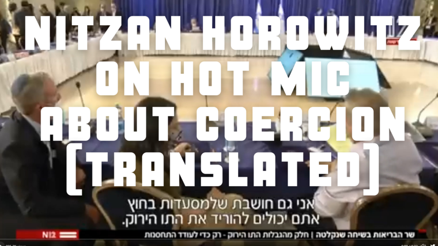 Nitzan Horowitz, on Hot Mic [translated] about Israel coercion