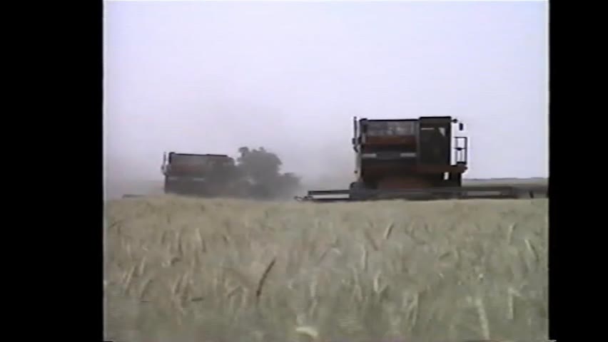 ZCrew - The Early Years (1988 part 2) Massey Ferguson combines
