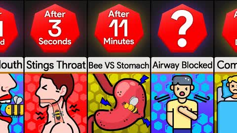 Timeline: What If You Swallowed A Live Bee?
