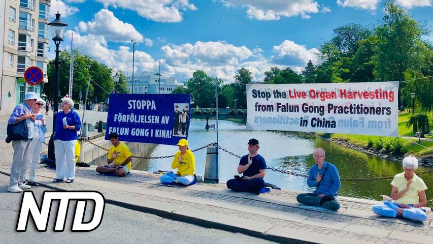 20220722a - Falun Gong_ 23 år av förföljelse - export