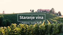 Na obisku pri zidanici Malek | Puklavec Family Wines 2. del | Staranje vina | Mala Kuhna