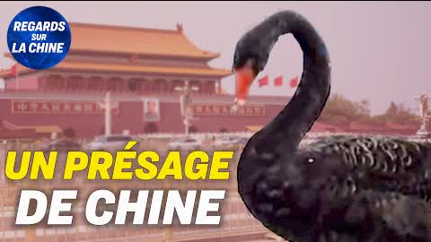 Un cygne noir visite la place Tiananmen à Pékin ; Des politiques de confinement controversées