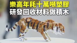 樂高年耗十萬噸塑膠 研發回收材料做積木 - 環保玩具 - 新唐人亞太電視台