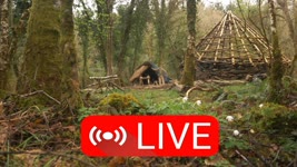 🔴LIVE Q&A - Crafting Thatching Spars at the Roundhouse Bushcraft Camp