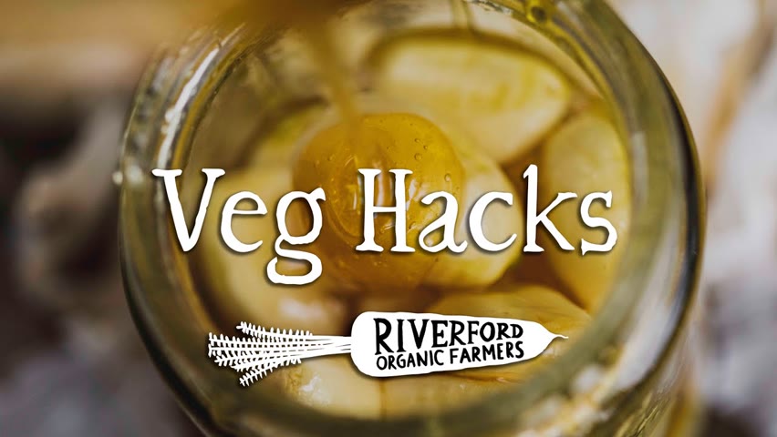 Fermented Garlic Honey I VEG HACKS