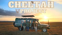 SAVING THE CHEETAHS 🐆/ Behind the Scenes of Wildlife Conservation