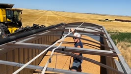 DAY 27 / 2022 Wheat Harvest / July 12 (Chappell, Nebraska)