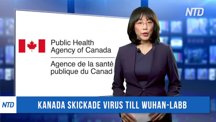 Kanada skickade virus till Wuhan-labb | KINA I FOKUS