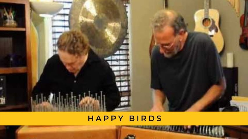 Happy Birds / Array Mbira and Array Nail Violin