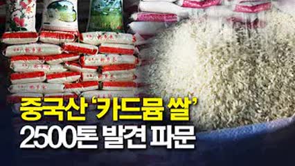 중국산 유해 중금속 쌀 2500톤 발견