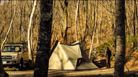 【ソロキャンプ】白樺の林の中で焚火料理/火打石で火起こしを楽しむ