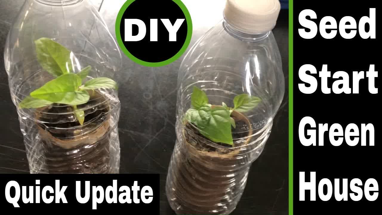 Quick Update and DIY Seed Starting Greenhouse